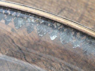 画像7: エルミン紋章のフィリグリープレート