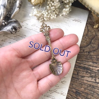 画像6: ソルトスプーンA