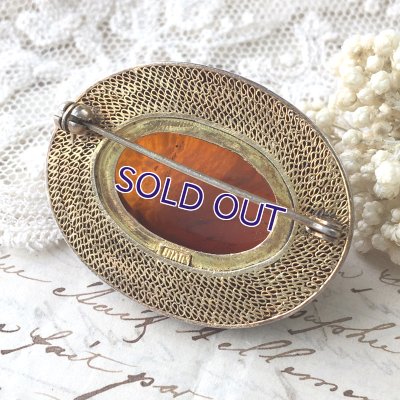 画像10: 琥珀とエナメルのブローチ