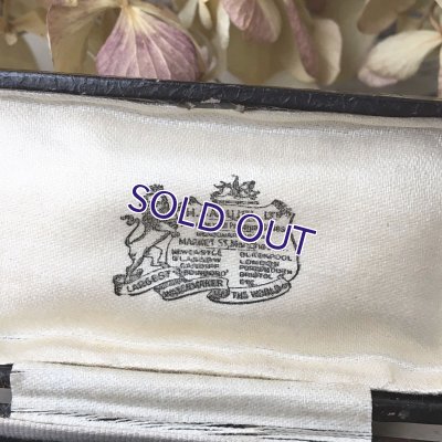 画像8: ブローチケースF