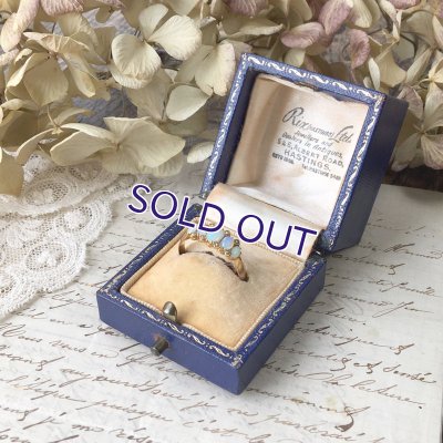 画像9: リングケースF