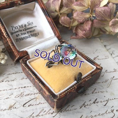 画像7: アイリスガラスのバグブローチ