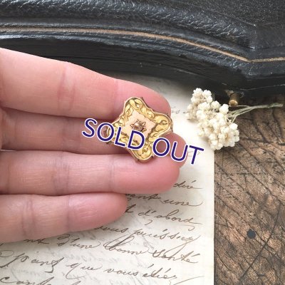 画像6: ヤドリギのゴールドブローチA