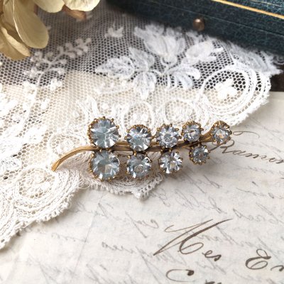 画像3: クリアガラスのシダブローチ