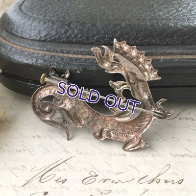 画像8: サラマンダーブローチ（リアルver.）