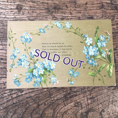 画像4: 勿忘草のポストカードセットA