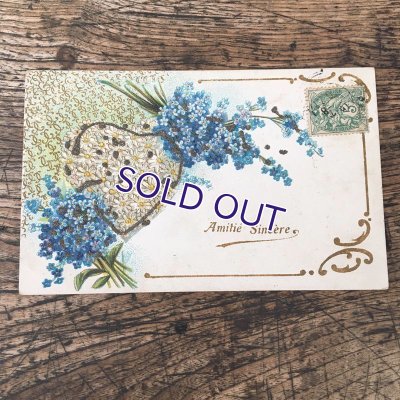 画像12: 勿忘草のポストカードセットA