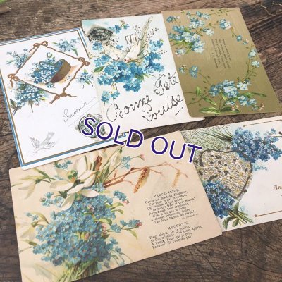 画像3: 勿忘草のポストカードセットA