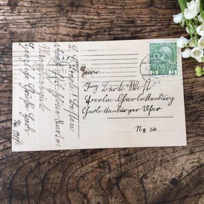 画像12: スズランのポストカードセットＤ