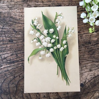 画像11: スズランのポストカードセットＤ