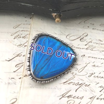 画像6: モルフォ蝶のトライアングルブローチ