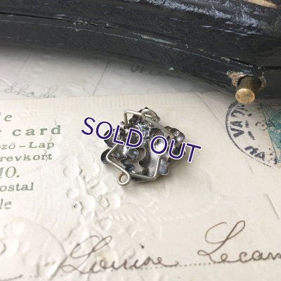 画像6: 獅子の紋章のチェーンストッパー