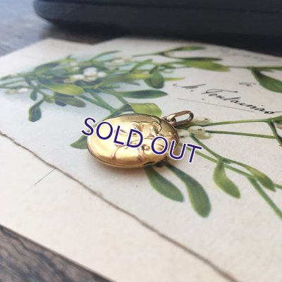 画像3: ORIA ヤドリギのゴールドロケットペンダント