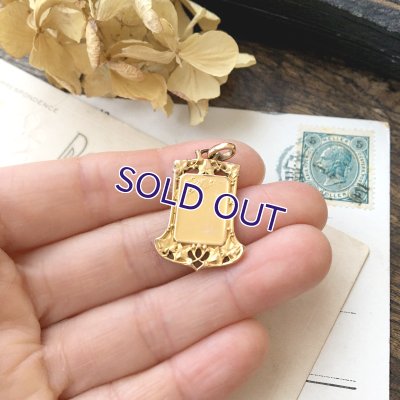 画像9: FIX アールヌーボー 蔦のゴールドペンダント