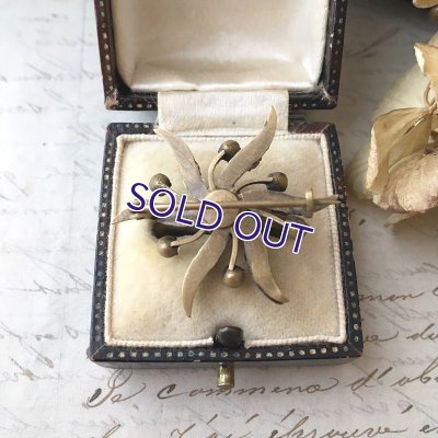 画像6: サフィレットのスワールブローチ