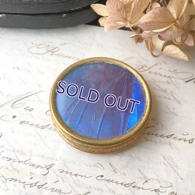 画像4: モルフォ蝶のコンパクトケース