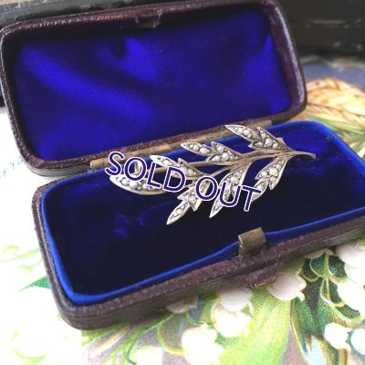 画像7: 銀製 シードパールのリーフブローチ