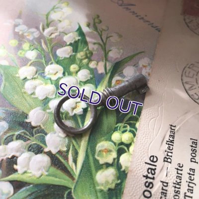 画像10: 鍵付き ヴァロア朝王家の紋章ジュエリーボックス