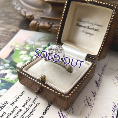 画像5: 銀製 サラマンダー紋章のリング