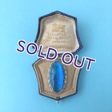 モルフォ蝶の大きなペンダント