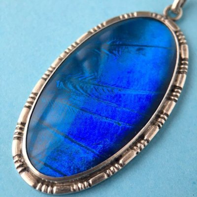 画像7: モルフォ蝶の大きなペンダント