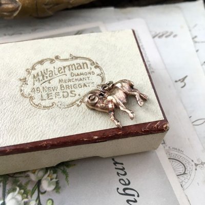 画像8: 山羊の小さなゴールドブレロック