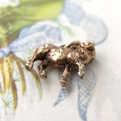 画像7: 山羊の小さなゴールドブレロック