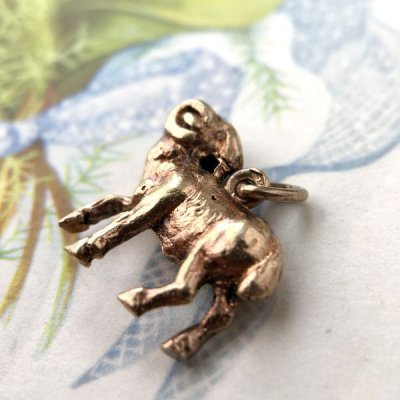 画像4: 山羊の小さなゴールドブレロック