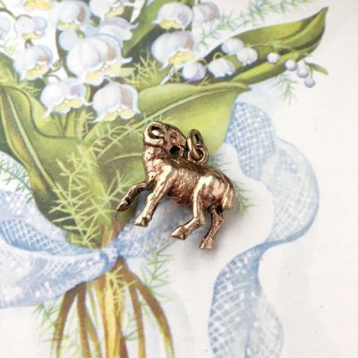 画像5: 山羊の小さなゴールドブレロック