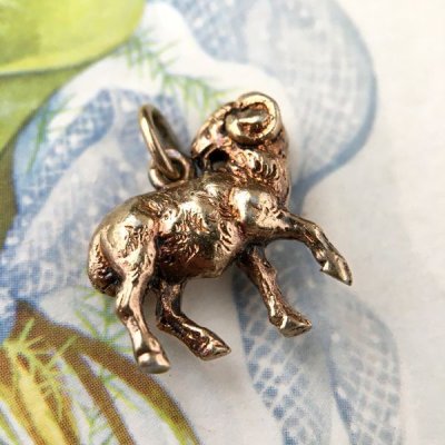 画像6: 山羊の小さなゴールドブレロック