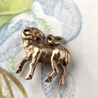 画像3: 山羊の小さなゴールドブレロック