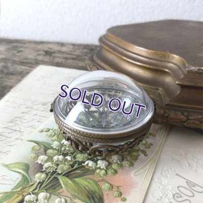 画像3: バタフライのドームガラスボックス