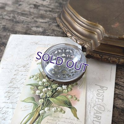 画像4: バタフライのドームガラスボックス