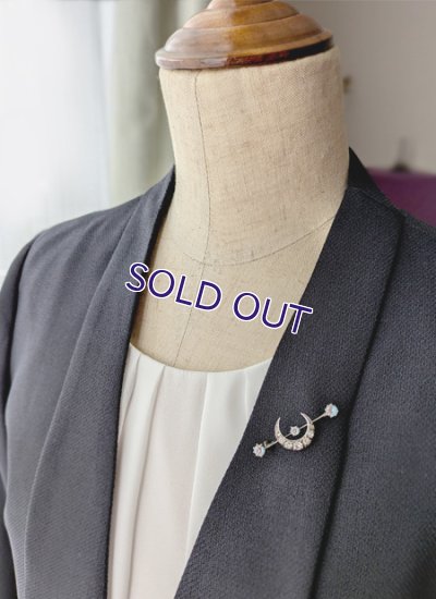 画像13: 月とサフィレットのバーブローチ