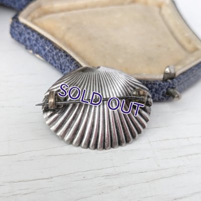 画像7: サフィレットのシェルブローチ