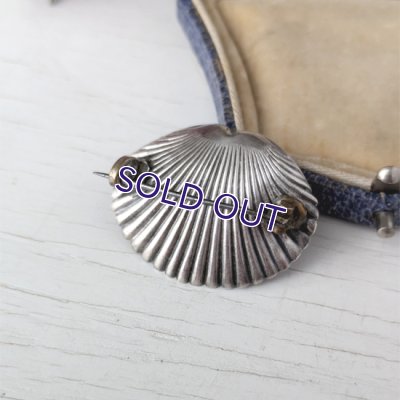 画像8: サフィレットのシェルブローチ