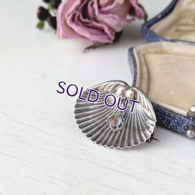 画像9: サフィレットのシェルブローチ
