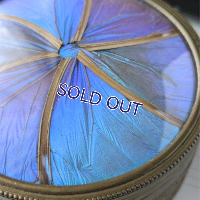 画像4: モルフォ蝶のパウダーケース