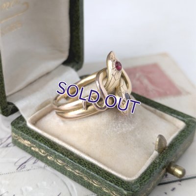 画像5: FIX ルビーガラスのスネークリング