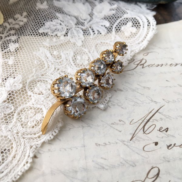 画像2: クリアガラスのシダブローチ (2)