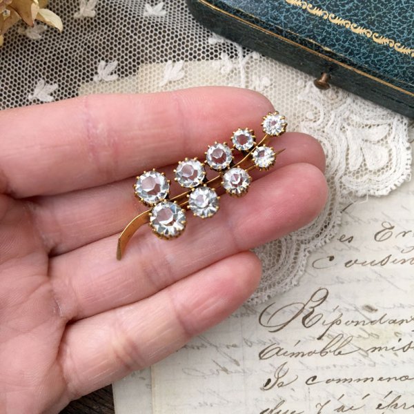 画像8: クリアガラスのシダブローチ (8)