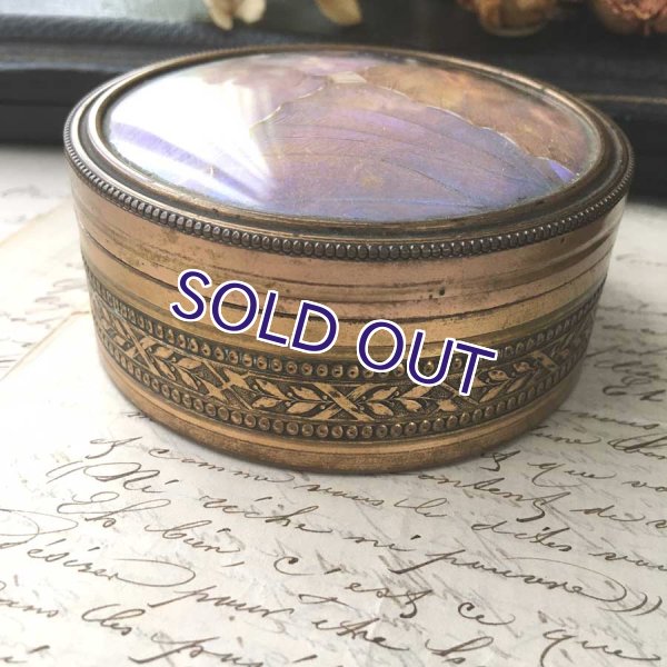 画像8: アールデコ様式のモルフォ蝶パウダーケース (8)