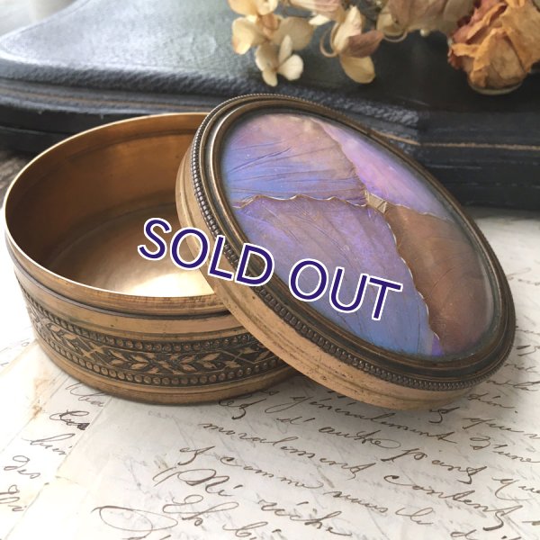 画像3: アールデコ様式のモルフォ蝶パウダーケース (3)