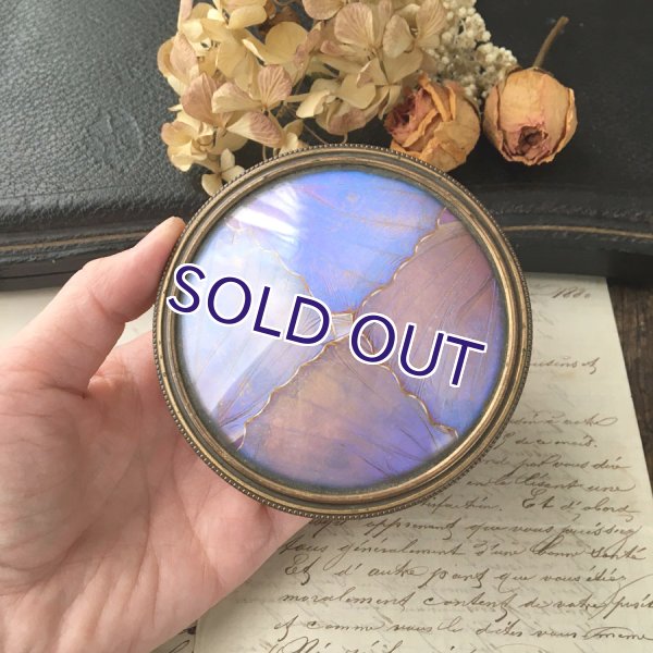 画像13: アールデコ様式のモルフォ蝶パウダーケース (13)