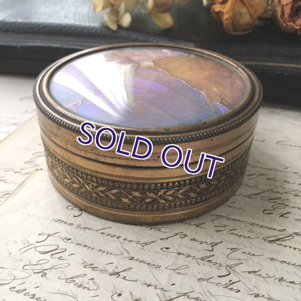 画像9: アールデコ様式のモルフォ蝶パウダーケース (9)