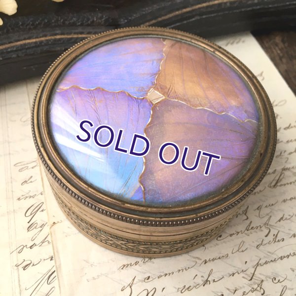 画像5: アールデコ様式のモルフォ蝶パウダーケース (5)