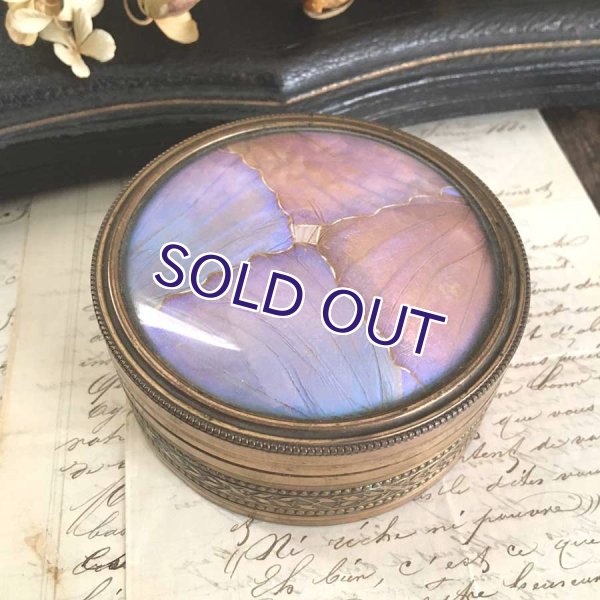 画像4: アールデコ様式のモルフォ蝶パウダーケース (4)