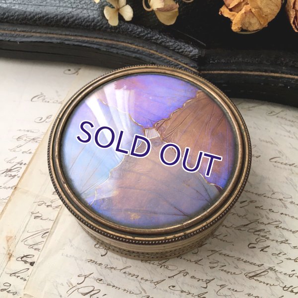 画像7: アールデコ様式のモルフォ蝶パウダーケース (7)