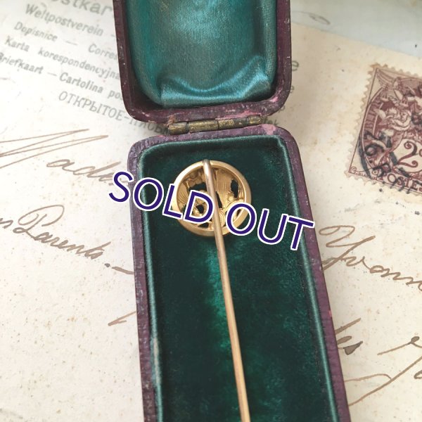 画像6: FIX ヤドリギとルビーガラスのゴールドピン (6)