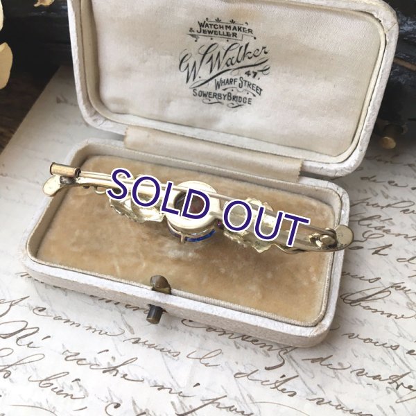 画像10: アイリスガラスと葡萄の葉のバーブローチ (10)